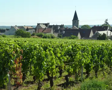 P1010859 Romanée-Saint-Vivant vineyard.