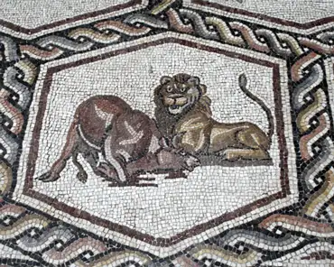 IMG_5339 Mosaic from Lydda (now Lod, Israel), ca. 300 AD.