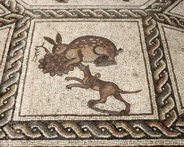 IMG_5341 Mosaic from Lydda (now Lod, Israel), ca. 300 AD.