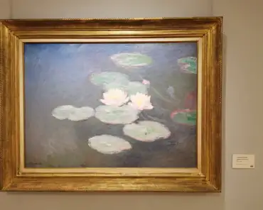 IMG_20200808_123829 Monet, Water lilies, evening effect, 1897.