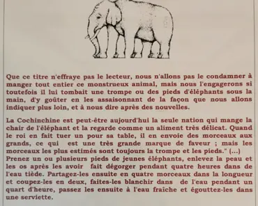 IMG_20200905_160540_1 Elephant recipe, by Alexandre Dumas.