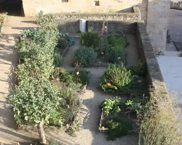 130 Medieval garden, where plants are arranged into squares-shaped areas.