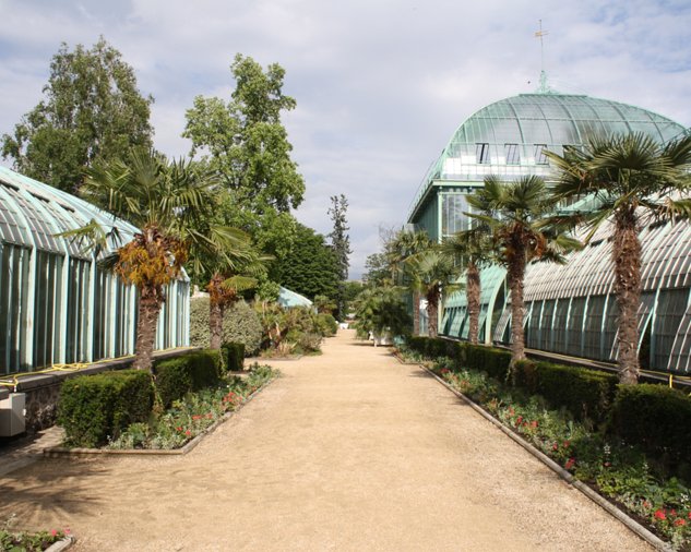 Auteuil greenhouses