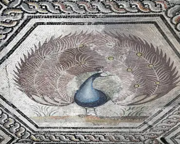IMG_20211223_152611 The Peacock mosaic, ca. 200 AD. This mosaic is one of the six polychrom pavings (200 m2 of decor) in the Peacock domus, a large house (middle of Ile century AD)...