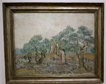 P1100424 Van Gogh, The olive orchard, 1889.