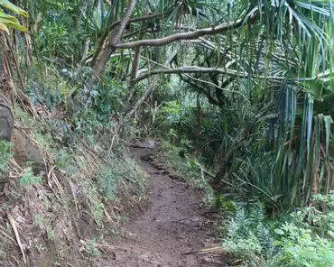 20140208-224425 Kalalau trail.